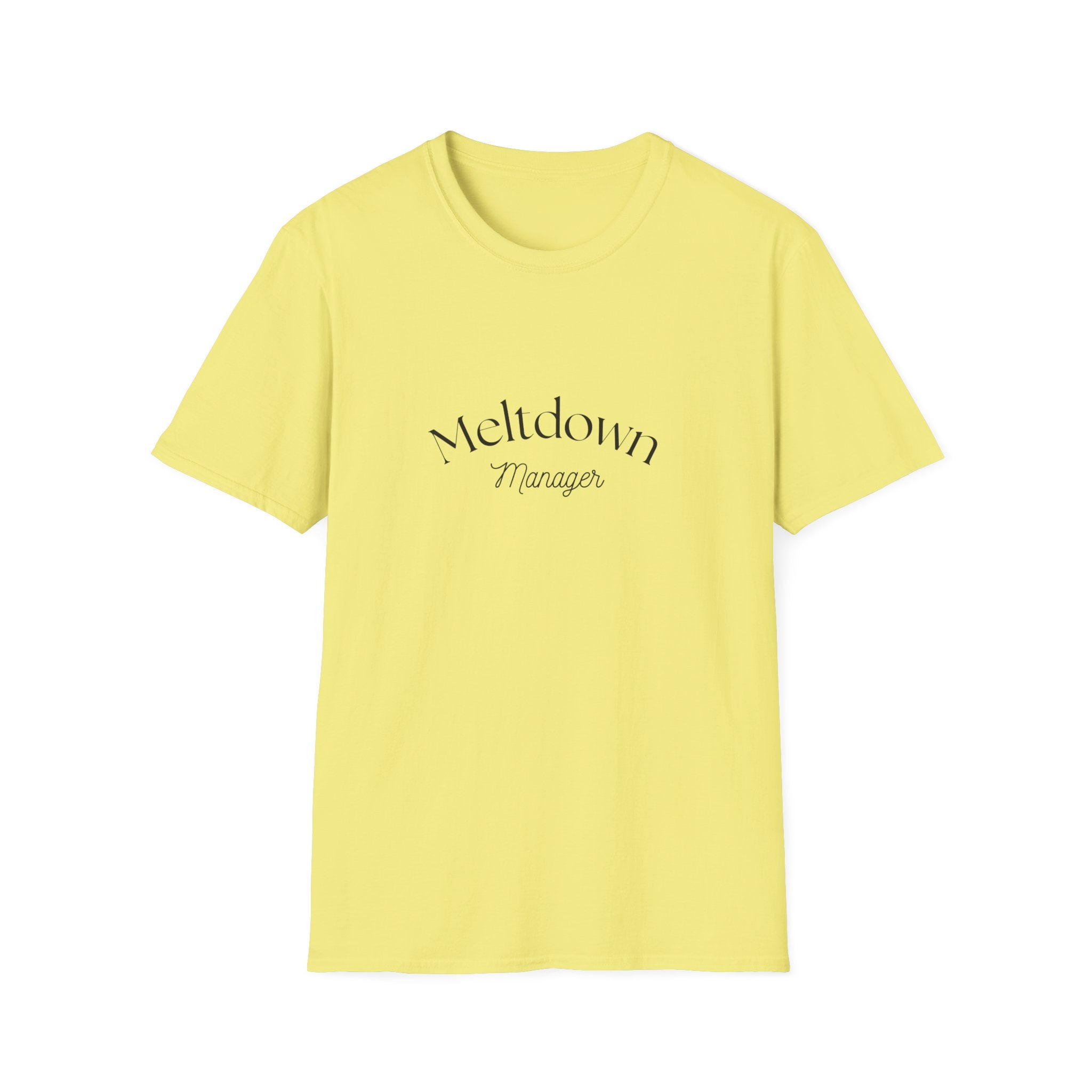 Meltdown Manager T-Shirt | Funny Sarcastic Typography Tee